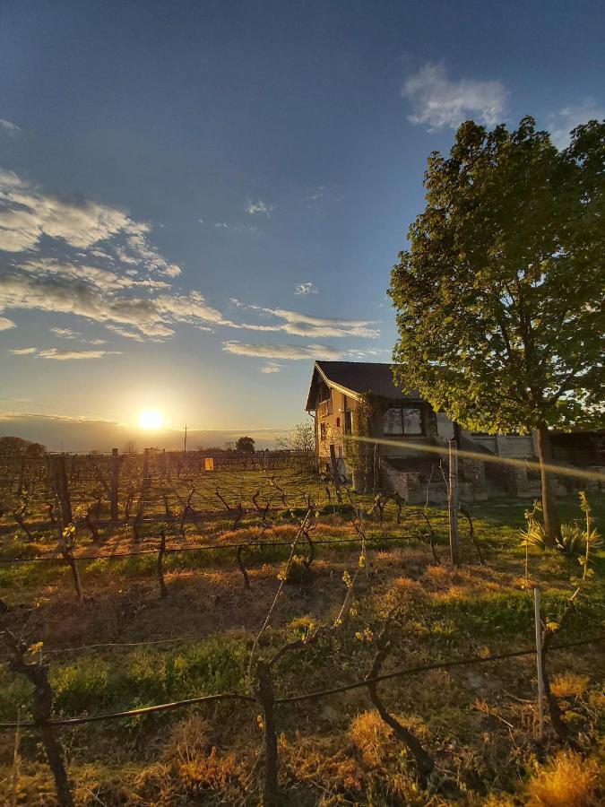 Country house Izletiste *